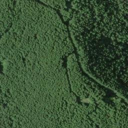 Satellite imagery of Cougar Ridge, US