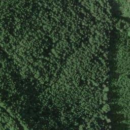 Satellite imagery of Cougar Ridge, US
