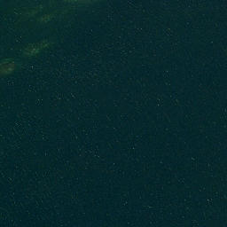 Satellite imagery of Reed Point, US