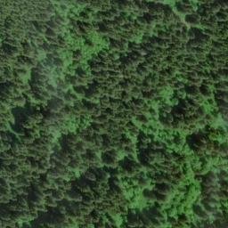 Satellite imagery of Cape Ridge, US