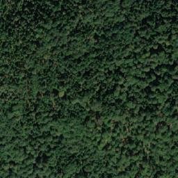 Satellite imagery of Bukovina, BA