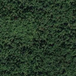 Satellite imagery of Bukovina, BA