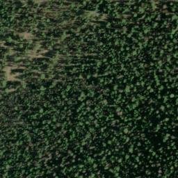 Satellite imagery of Lutsey Point, US