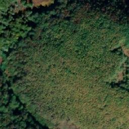 Satellite imagery of Nišava, BA