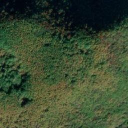 Satellite imagery of Nišava, BA