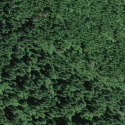 Satellite imagery of Wilson Ridge, US