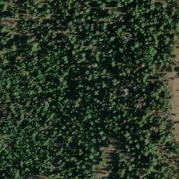 Satellite imagery of Lutsey Point, US