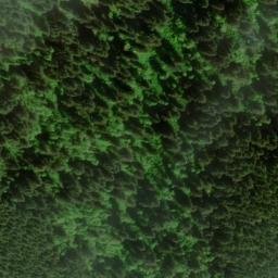 Satellite imagery of Cummins Ridge, US