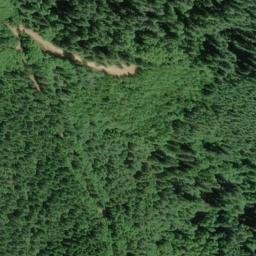 Satellite imagery of Wilson Ridge, US