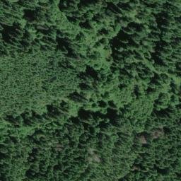 Satellite imagery of Wilson Ridge, US