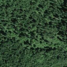 Satellite imagery of Wilson Ridge, US