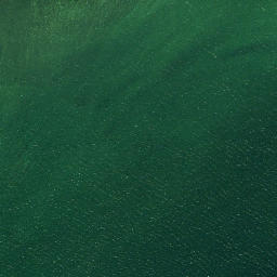 Satellite imagery of Cummings Point, US