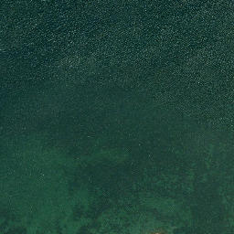 Satellite imagery of Steele Point, US