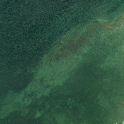 Satellite imagery of Steele Point, US