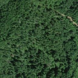 Satellite imagery of Wilson Ridge, US
