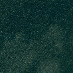 Satellite imagery of Bartlett Point, US