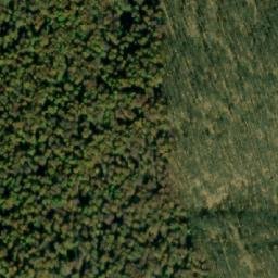 Satellite imagery of Zmijska Kosa, BA