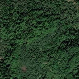 Satellite imagery of Svinjevi, BA