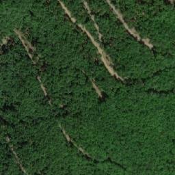 Satellite imagery of Ravna Gora, BA