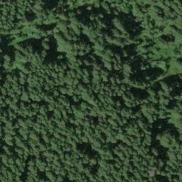 Satellite imagery of Grizzly Ridge, US