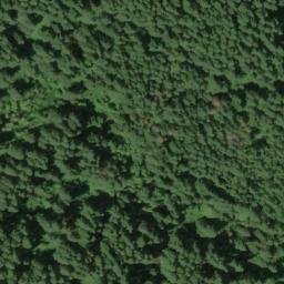 Satellite imagery of Grizzly Ridge, US
