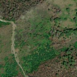 Satellite imagery of Frissell Point, US
