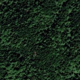 Satellite imagery of Crveni Rat, BA