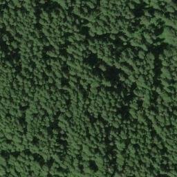 Satellite imagery of Grizzly Ridge, US