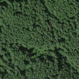 Satellite imagery of Grizzly Ridge, US