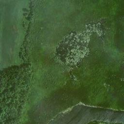 Satellite imagery of Plum Point, CA