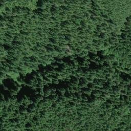 Satellite imagery of Buck Creek Ridge, US