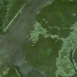 Satellite imagery of Plum Point, CA