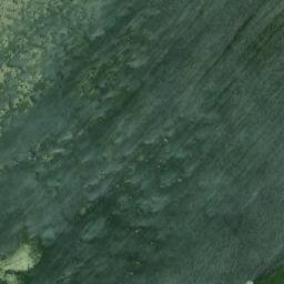 Satellite imagery of Plum Point, CA