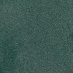 Satellite imagery of Nicholsons Point, CA