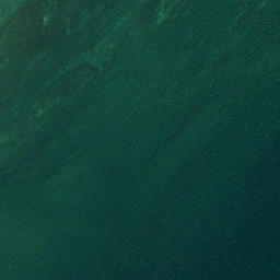 Satellite imagery of Carpenter Point, CA