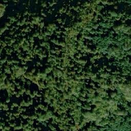 Satellite imagery of Ravna Gora, BA