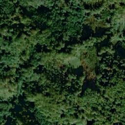 Satellite imagery of Ravna Gora, BA