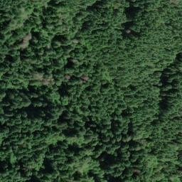 Satellite imagery of Taylor Ridge, US