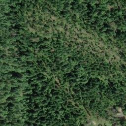 Satellite imagery of Taylor Ridge, US