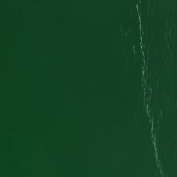 Satellite imagery of Grassy Point, CA