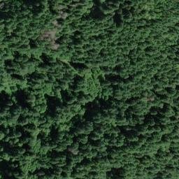 Satellite imagery of Taylor Ridge, US
