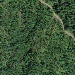 Satellite imagery of Taylor Ridge, US
