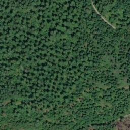 Satellite imagery of Foley Ridge, US