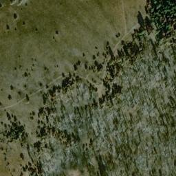Satellite imagery of Ashley Ridge, US