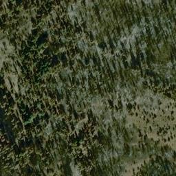 Satellite imagery of Ashley Ridge, US