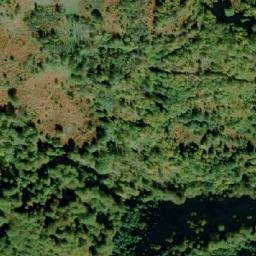 Satellite imagery of Borci, BA