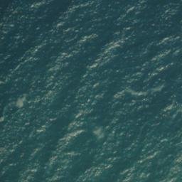 Satellite imagery of Heceta Head, US