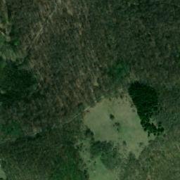 Satellite imagery of Garevica, RS