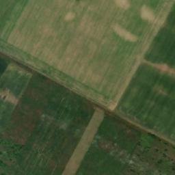 Satellite imagery of TT66, RO