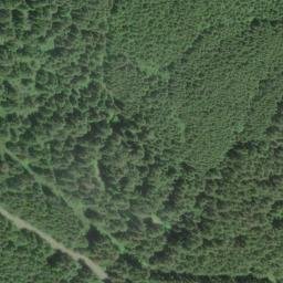 Satellite imagery of Sea Lion Point, US